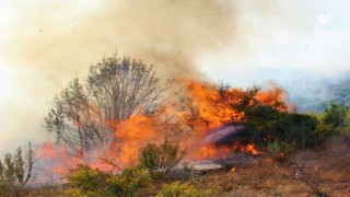 EKODOSD, vatandaşları yangınlara karşı uyardı
