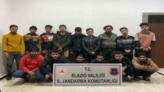 Elazığda 15 düzensiz göçmen yakalandı