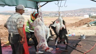 Elazığda bayramın üçüncü gününde kurban kesimleri devam etti