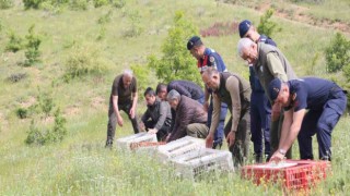 Elazığda doğaya keklik salımı yapıldı