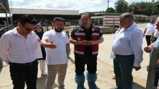 Elazığda Hayvan satış yerleri denetlendi