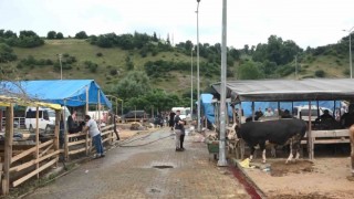 Elde kalan kurbanlıklar için besicilerin mesaisi devam ediyor