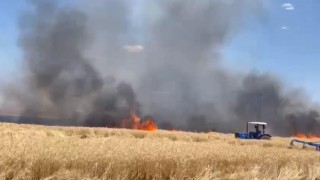 Ergani ilçesinde 60 dönüm ekili arazi küle döndü