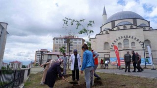 Erzurum Sağlık Müdürlüğünden fidan dikimi