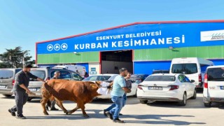Esenyurtta kaçak kurban kesimine geçit yok