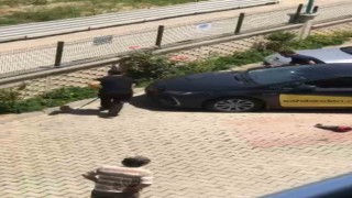 Evin bahçesine giren yılan paniğe neden oldu