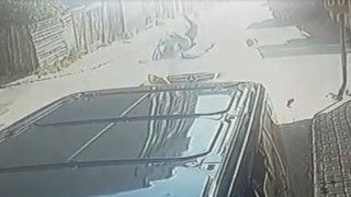 Feci kaza güvenlik kamerasında