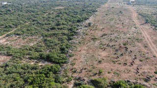 Firari keçiler drone ile bulundu