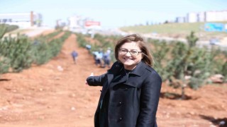 Gaziantepte kişi başına düşen yeşil alan yaklaşık 13 metrekareye çıktı