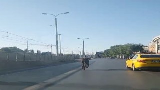 Güngörende kaçan kurbanlık trafikte zor anlar yaşattı