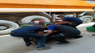 Hafriyat kamyonunun çarptığı şahıs öldü