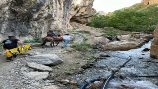 Hakkari'de attan düşen şahıs kurtarıldı