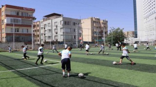 Haliliyede gençler spor ve sanatla tanışıyor