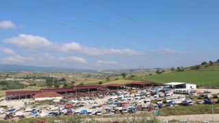 Havza bayrama hazır