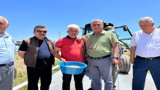 Haymanada ilk arpa ürünü borsaya geldi
