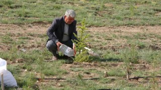 Her yıl binlerce fidanı toprakla buluşturuyor, bozkırı yeşile büründürüyor