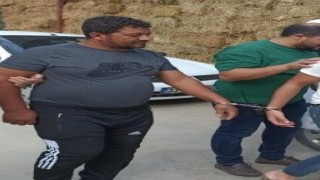 İneğe içki şişesinde sıvı veren şahıs, önceki hapis cezası nedeniyle tutuklandı