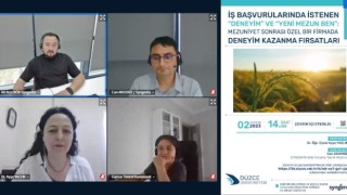 İş bulma süreciyle ilgili yol gösteren program