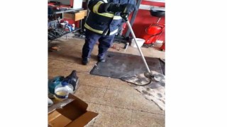 İş yerine giren yılanı itfaiye ekipleri yakaladı
