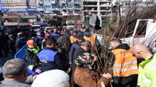 Isparta Belediyesi cuma günü 10 bin adet armut fidanını ücretsiz dağıtacak