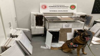 İstanbul Havalimanına kargoyla gelen suntalardan uyuşturucu çıktı
