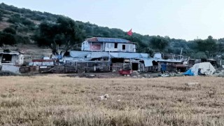 İzmirde çiftlik evinde korkunç cinayet