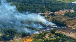 İzmirde ormanlık alandaki yangın kontrol altında