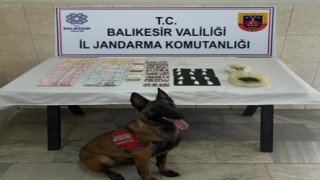Jandarma narkotik köpeği Çömlekten kaçamadılar