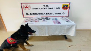 Jandarma uyuşturucu operasyonu;4 gözaltı
