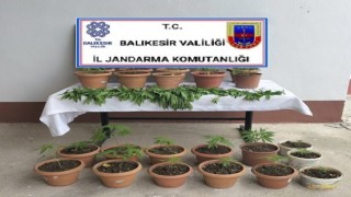 Jandarmadan Kareside uyuşturucu operasyonu