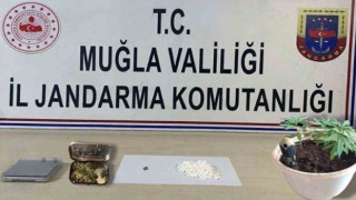 Jandarmadan Muğla genelinde uyuşturucu operasyonu
