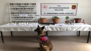 Jandarmadan uyuşturucu tacirlerine geçit yok