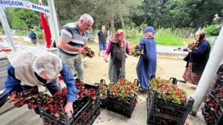 Kabir ziyareti yapan vatandaşlara 25 bin çiçek dağıtıldı