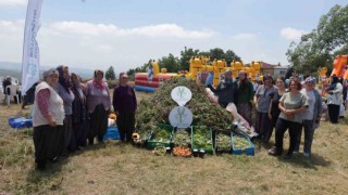 Kadın çiftçilerin yetiştirdiği arakanın ilk hasadı yapıldı