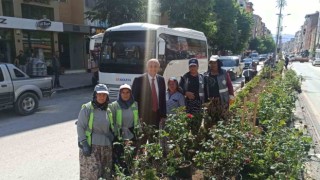 Kadın eli değince orta refüjler çiçek açtı