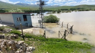 Karasu Nehri taştı, ekili tarlalar sular altında kaldı