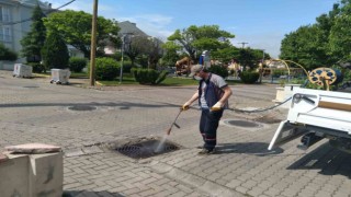 Kareside haşere ile mücadele sürüyor