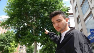 Karga kamikaze dalışlarıyla mahalleliye korku salıyor