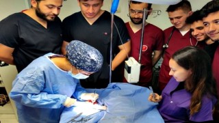 Kastamonuda hayvan hastanesi, hizmet vermeye başladı