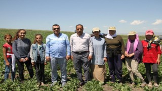 Kaymakam Bayram, tarlada çalışan çiftçilerle bayramlaştı