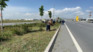 Kayseride Yabancı Otlarla Mücadele