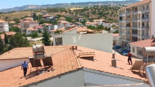 Kekliği çatıda kovaladılar