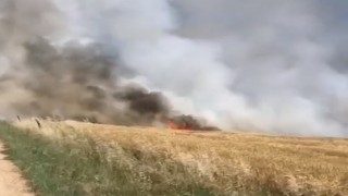 Kırklarelide 90 dönümlük buğday tarlası küle döndü