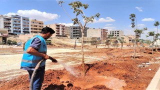 Kito Deresinde çalışmalar yeniden başladı
