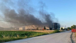 Kocaelide geri dönüşüm fabrikasında yangın: 3 kişi dumandan etkilendi
