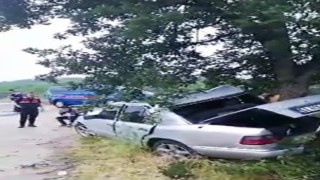 Kontrolden çıkan otomobil ağaca çarptı: 3 yaralı