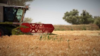 Konya Ovasında hasat sezonu yaklaşırken çiftçilere ürün satış uyarısı