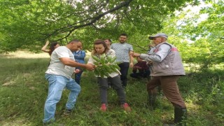 Köşkte üreticiler Kestane Gal Arısına karşı bilgilendiriliyor