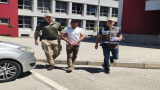 Koyunu döverek bayıltan kasaptan pişkin savunma: Yormak için öyle yaptım