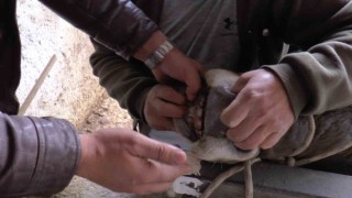 Küpeyi bırak dişe bak